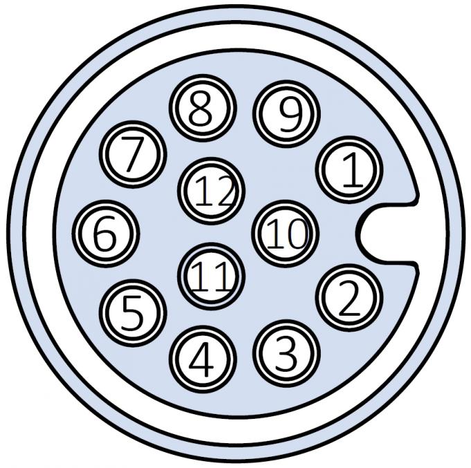 M12 Connector Pin Assignment Diagram
