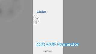 M12 Connector IP67 Automation Power Cable